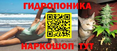 spice Ипатово