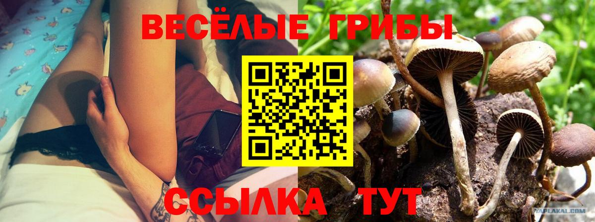 Галлюциногенные грибы Magic Shrooms Арсеньев